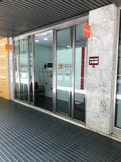 Foto de Fenix reparaciones