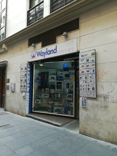 Foto de WAYLAND COMPUTERS