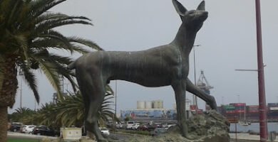 Foto de Fuerteventura 2000