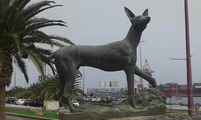 Foto de Fuerteventura 2000