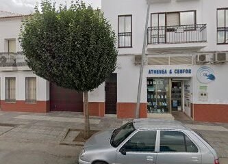 Foto de Athenea Cenfor