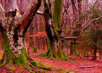 Foto de B S M Informática