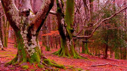 Foto de B S M Informática