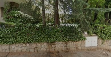 Foto de GESTION VILLAYANDRE ALVAREZ