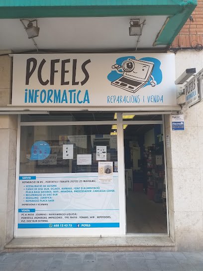 Foto de PCFELS