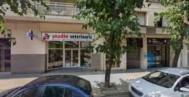 Foto de Procesos Informáticos Leridanos